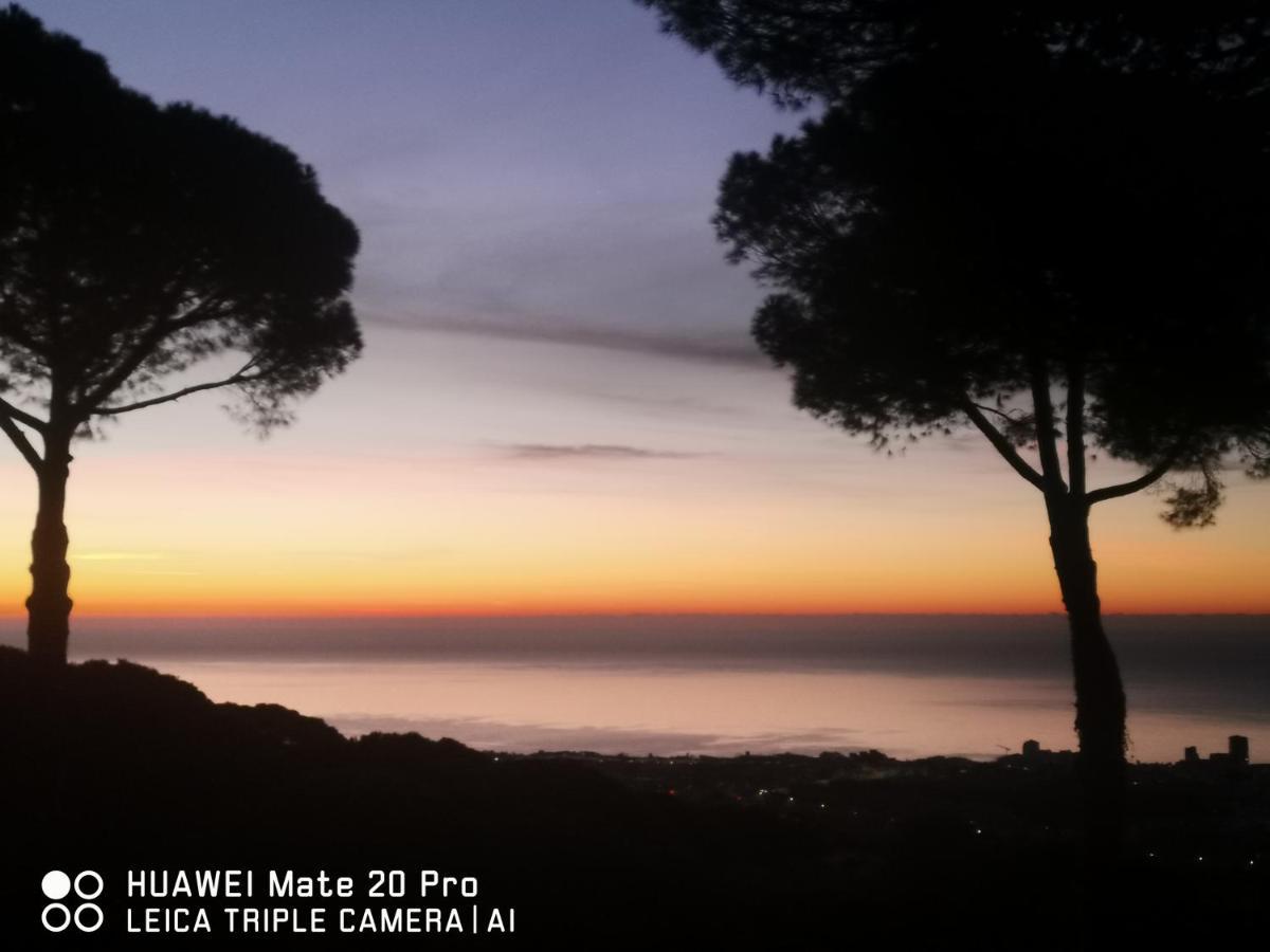 Villa Maresme & Villa Rosa Матаро Экстерьер фото
